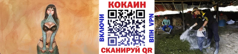 COCAIN FishScale Кизилюрт