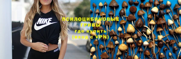 гашик Бугульма